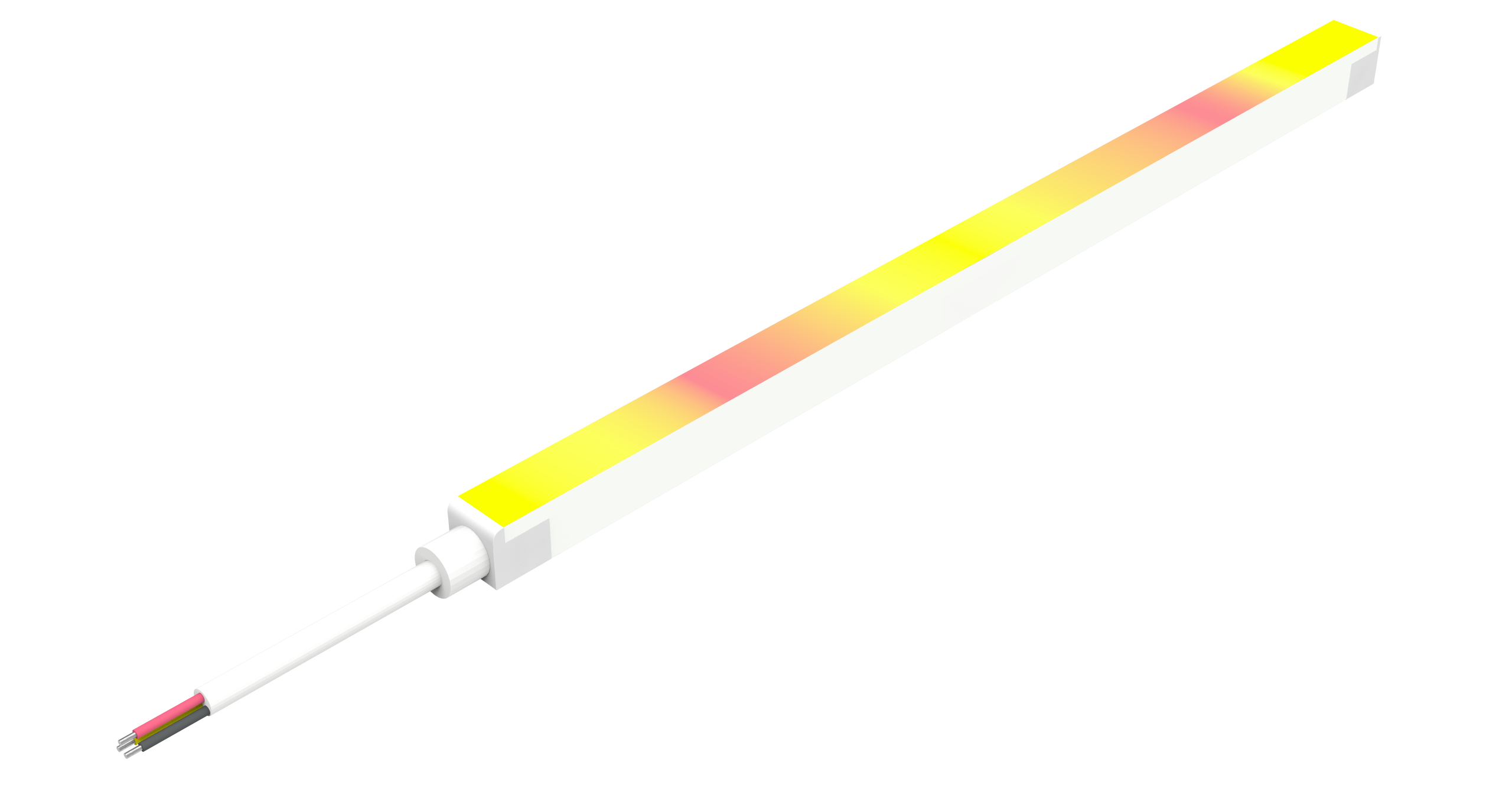 Socket Connector IP67